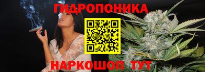 2c-b Ачхой-Мартан