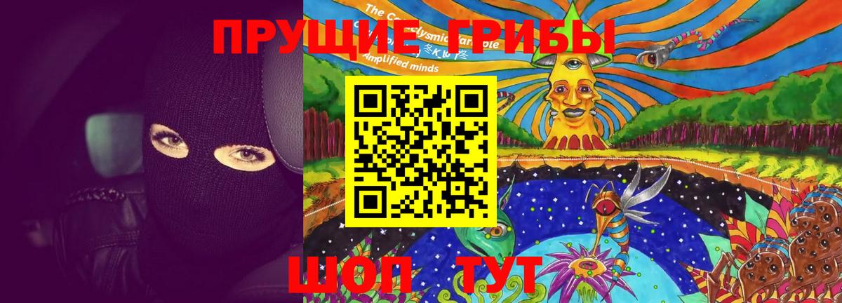 цены   Вход с VPN  Бор  Галлюциногенные грибы Psilocybe 