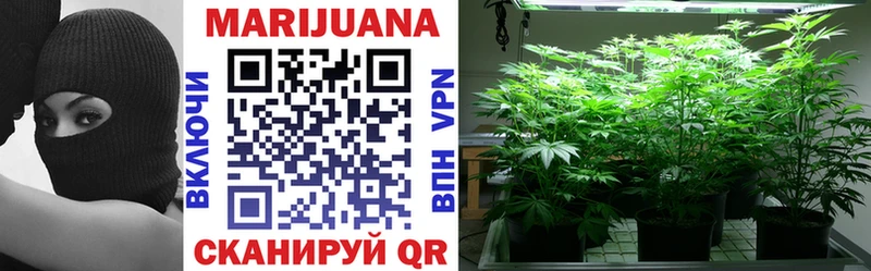 где продают   Бор  Канабис Bruce Banner 