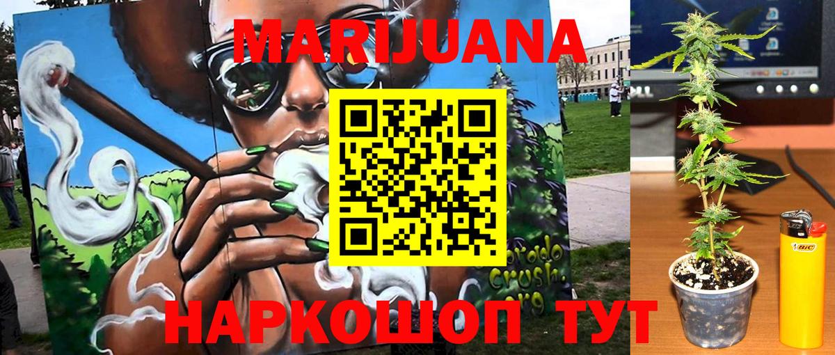 Каннабис сатива Бор